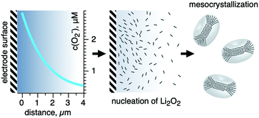 Graphical abstract: Homogeneous nucleation of Li2O2 under Li–O2 battery discharge
