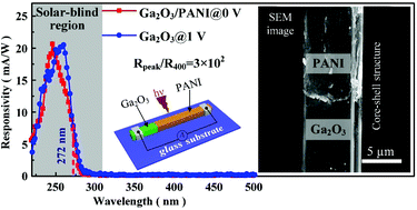 Graphical abstract: An ultrahigh responsivity self-powered solar-blind photodetector based on a centimeter-sized β-Ga2O3/polyaniline heterojunction