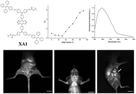 Graphical abstract: Molecular engineering of a high quantum yield NIR-II molecular fluorophore with aggregation-induced emission (AIE) characteristics for in vivo imaging