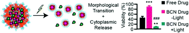 Graphical abstract: Employing bicontinuous-to-micellar transitions in nanostructure morphology for on-demand photo-oxidation responsive cytosolic delivery and off–on cytotoxicity