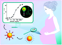 Graphical abstract: Accurate detection of β-hCG in women's serum and cervical secretions for predicting early pregnancy viability based on time-resolved luminescent lanthanide nanoprobes