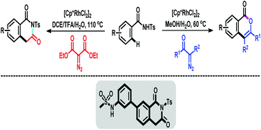 Graphical abstract: Controllable construction of isoquinolinedione and isocoumarin scaffolds via RhIII-catalyzed C–H annulation of N-tosylbenzamides with diazo compounds