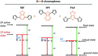 Graphical abstract: One- and two-photon absorption properties of quadrupolar thiophene-based dyes with acceptors of varying strengths