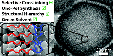 Graphical abstract: In situ crosslinking of nanostructured block copolymer microparticles in supercritical carbon dioxide