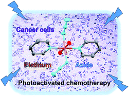Graphical abstract: Diazido platinum(iv) complexes for photoactivated anticancer chemotherapy