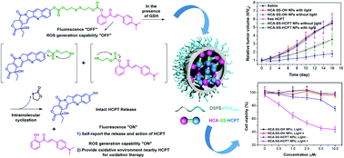 Graphical abstract: A fluorescence and photoactivity dual-activatable prodrug with self-synergistic magnification of the anticancer effect