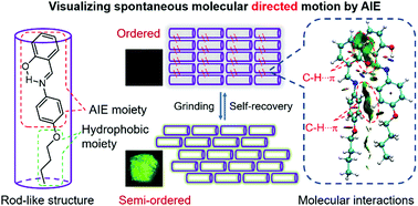 Graphical abstract: Utilizing the aggregation-induced emission phenomenon to visualize spontaneous molecular directed motion in the solid state