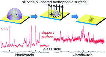 Graphical abstract: Facile silicone oil-coated hydrophobic surface for surface enhanced Raman spectroscopy of antibiotics