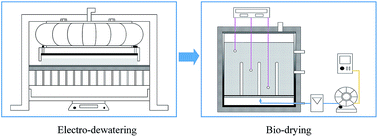 Graphical abstract: Electro-dewatering pretreatment of sludge to improve the bio-drying process