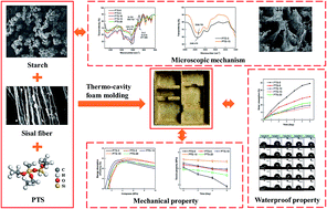 Graphical abstract: Effect of poly-methyltriethoxysilane on the waterproof property of starch/fiber composites with open cell structures