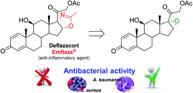 Graphical abstract: Expeditious synthesis and preliminary antimicrobial activity of deflazacort and its precursors
