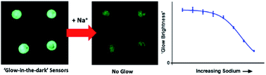 Graphical abstract: An ionophore-based persistent luminescent ‘Glow Sensor’ for sodium detection