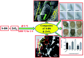 Graphical abstract: Enhanced mechanical properties of hBN–ZrO2 composites and their biological activities on Drosophila melanogaster: synthesis and characterization