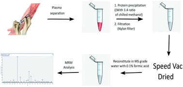 Graphical abstract: Development of multiple reaction monitoring assay for quantification of carnosine in human plasma