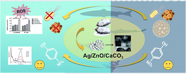 Graphical abstract: Dual functional oyster shell-derived Ag/ZnO/CaCO3 nanocomposites with enhanced catalytic and antibacterial activities for water purification