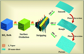 Graphical abstract: Novel mesoporous bismuth oxyiodide single-crystal nanosheets with enhanced catalytic activity