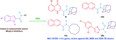 Graphical abstract: Design, synthesis, and biological evaluation of novel arylcarboxamide derivatives as anti-tubercular agents