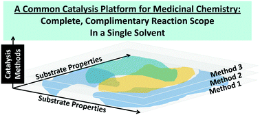Graphical abstract: Catalysis in medicinal chemistry