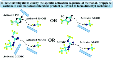 Graphical abstract: Kinetic modeling and mechanistic investigations of transesterification of propylene carbonate with methanol over an Fe–Mn double metal cyanide catalyst