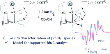 Graphical abstract: Low-valent homobimetallic Rh complexes: influence of ligands on the structure and the intramolecular reactivity of Rh–H intermediates