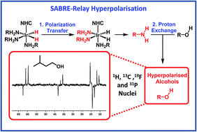 Graphical abstract: Relayed hyperpolarization from para-hydrogen improves the NMR detectability of alcohols
