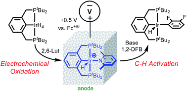 Graphical abstract: Electrochemical C–H bond activation via cationic iridium hydride pincer complexes