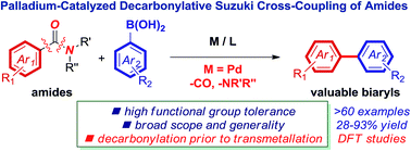 Graphical abstract: Palladium-catalyzed decarbonylative Suzuki–Miyaura cross-coupling of amides by carbon–nitrogen bond activation