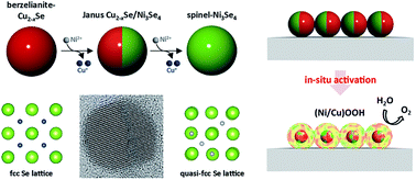 Graphical abstract: Phase segregated Cu2−xSe/Ni3Se4 bimetallic selenide nanocrystals formed through the cation exchange reaction for active water oxidation precatalysts