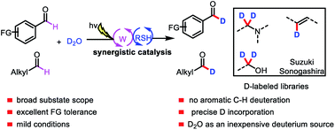 Graphical abstract: Formyl-selective deuteration of aldehydes with D2O via synergistic organic and photoredox catalysis