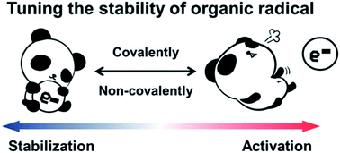 Graphical abstract: Tuning the stability of organic radicals: from covalent approaches to non-covalent approaches