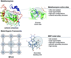Graphical abstract: Bioinspired chemistry at MOF secondary building units
