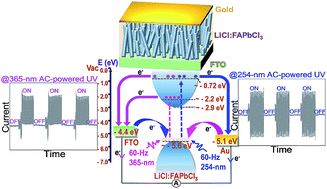 Graphical abstract: Energy-distinguishable bipolar UV photoelectron injection from LiCl-promoted FAPbCl3 perovskite nanorods