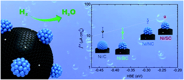 Graphical abstract: Enhanced HOR catalytic activity of PGM-free catalysts in alkaline media: the electronic effect induced by different heteroatom doped carbon supports
