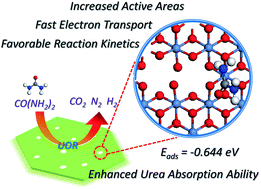 Graphical abstract: Ultrathin nickel hydroxide nanosheets with a porous structure for efficient electrocatalytic urea oxidation