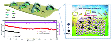 Graphical abstract: Long-life Li–S batteries based on enabling the immobilization and catalytic conversion of polysulfides