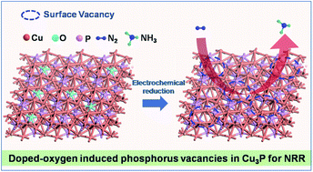 Graphical abstract: Efficient electrochemical N2 fixation by doped-oxygen-induced phosphorus vacancy defects on copper phosphide nanosheets