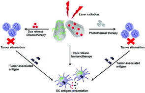 Graphical abstract: MWCNT-mediated combinatorial photothermal ablation and chemo-immunotherapy strategy for the treatment of melanoma