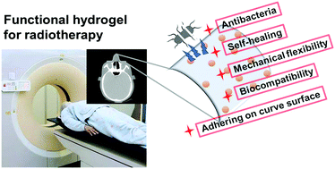 Graphical abstract: Multifunctional composite hydrogel bolus with combined self-healing, antibacterial and adhesive functions for radiotherapy