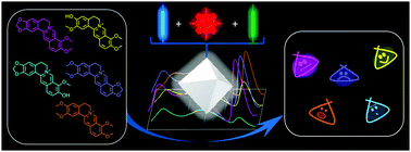 Graphical abstract: A white-light-emitting single MOF sensor-based array for berberine homologue discrimination