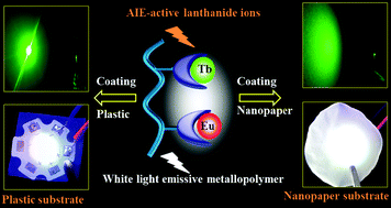 Graphical abstract: Aggregation-induced white emission of lanthanide metallopolymer and its coating on cellulose nanopaper for white-light softening