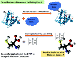 Graphical abstract: Application of the direct peptide reactivity assay (DPRA) to inorganic compounds: a case study of platinum species