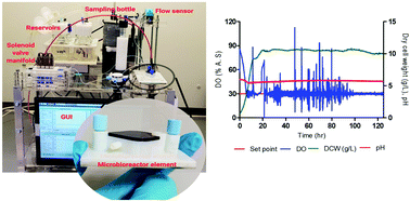 Graphical abstract: Microbioreactor for lower cost and faster optimisation of protein production
