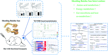 Graphical abstract: Shenling Baizhu San improves functional dyspepsia in rats as revealed by 1H-NMR based metabolomics