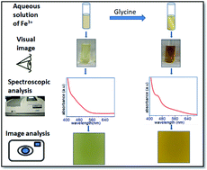 Graphical abstract: Case study on the use of image analysis for the simple and inexpensive colorimetric detection of Fe(iii) in water
