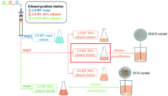 Graphical abstract: Separation of epigallocatechin gallate and epicatechin gallate from tea polyphenols by macroporous resin and crystallization
