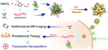 Graphical abstract: Self-assembly of hyaluronic acid-mediated tumor-targeting theranostic nanoparticles