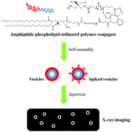 Graphical abstract: Amphiphilic phospholipid–iodinated polymer conjugates for bioimaging