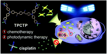 Graphical abstract: Platinum-AIEgen coordination complex for imaging-guided annihilation of cisplatin-resistant cancer cells