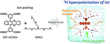 Graphical abstract: Triplet dynamic nuclear polarization of crystalline ice using water-soluble polarizing agents