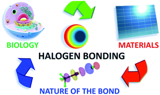 Graphical abstract: Halogen bonding for molecular recognition: new developments in materials and biological sciences
